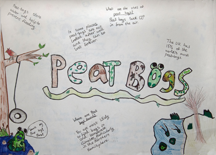 Peat Bogs poster 1