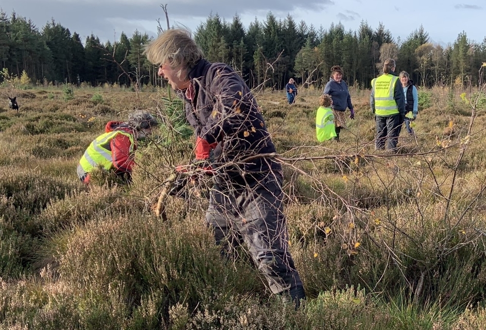 Webp.net resizeimage2