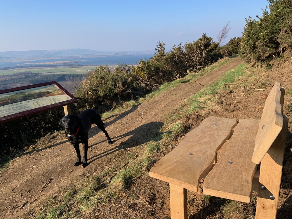 Webp.net resizeimage 1