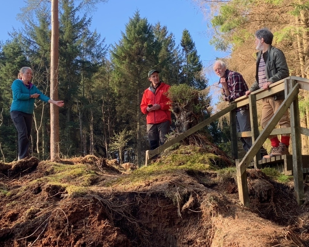 Webp.net resizeimage 4